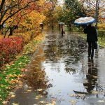 Циклон принесе на Дніпропетровщину дощі та похолодання цього тижня