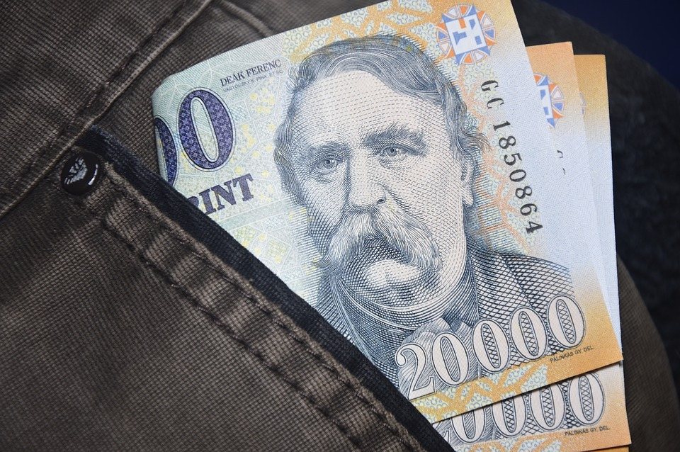 Угорщина може приєднатися до ERM II ще цього десятиліття